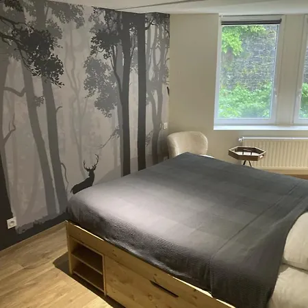 Апартаменты Le Loft Et Le T2, Dore, Au Pied De La Dordogne *