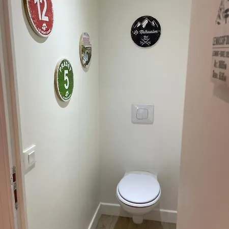 Le Loft Et Le T2, Dore, Au Pied De La Dordogne Apartment Le Mont-Dore