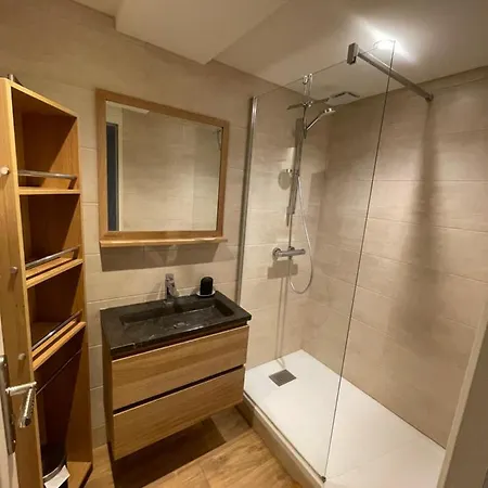 Le Loft Et Le T2, Dore, Au Pied De La Dordogne Апартаменты Ле-Мон-Дор