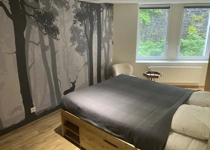 Апартаменты Le Loft Et Le T2, Dore, Au Pied De La Dordogne *