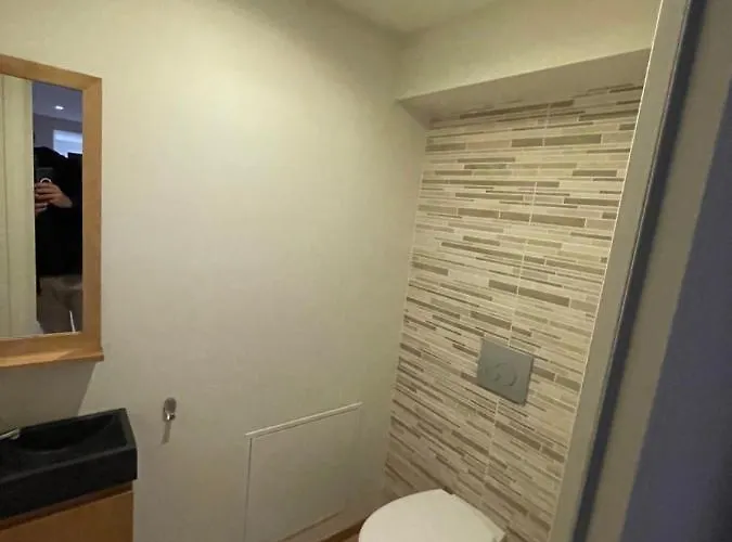 Le Loft Et Le T2, Dore, Au Pied De La Dordogne Апартаменты