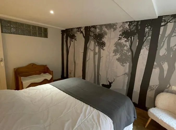 Le Loft Et Le T2, Dore, Au Pied De La Dordogne Апартаменты *