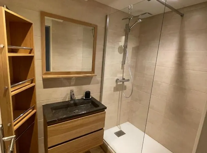 Le Loft Et Le T2, Dore, Au Pied De La Dordogne Апартаменты Ле-Мон-Дор